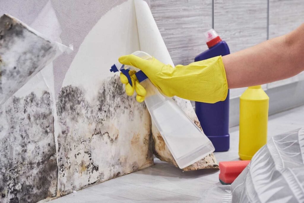 How Do You Use Ventilation to Prevent Mold in Bathroom Spaces?