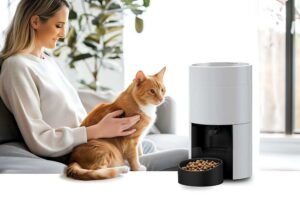 Discover pet feeding station ideas